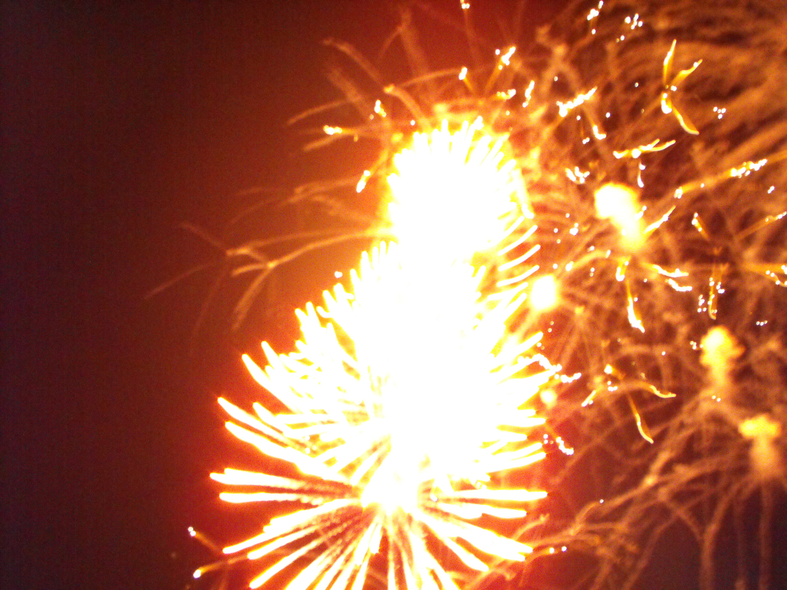 ./2010/Fourth of July/4th July Fireworks Wilm 0051.JPG